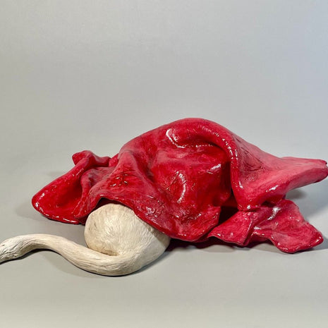 La Otra Caperucita es una obra de arte en cerámica que forma parte de la colección Naturaleza Refugio. La pieza propone una lectura alternativa y silenciosa del imaginario simbólico, invitando a la contemplación y a la búsqueda de lo esencial.